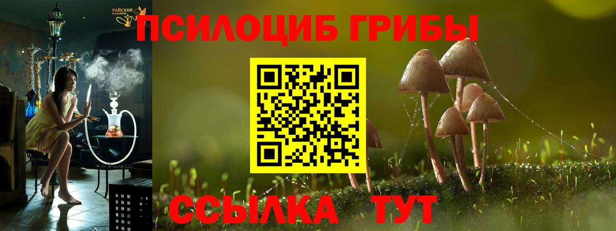 Геленджик  Галлюциногенные грибы GOLDEN TEACHER  Галлюциногенные грибы Psilocybine cubensis  Вход с VPN 
